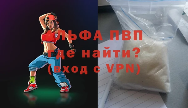 СК Белокуриха