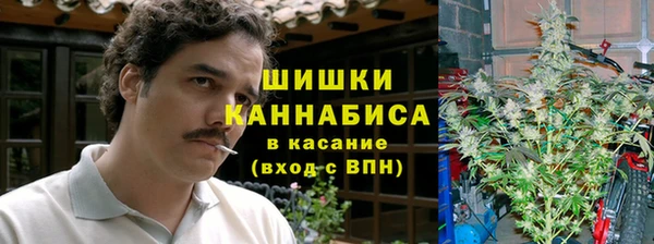 метадон Сатка