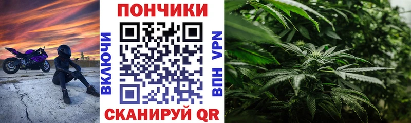 Каннабис THC 21%  omg рабочий сайт  Озёрск 